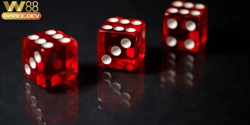 Đạt99 Thắng Tài Xỉu W88 210 triệu nhờ cách bắt cầu cực đỉnh