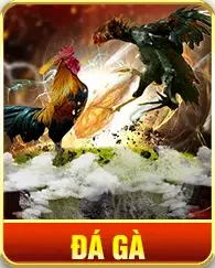 Đá gà